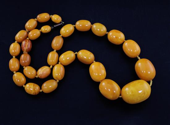 A single strand graduated oval amber bead necklace, 62cm.